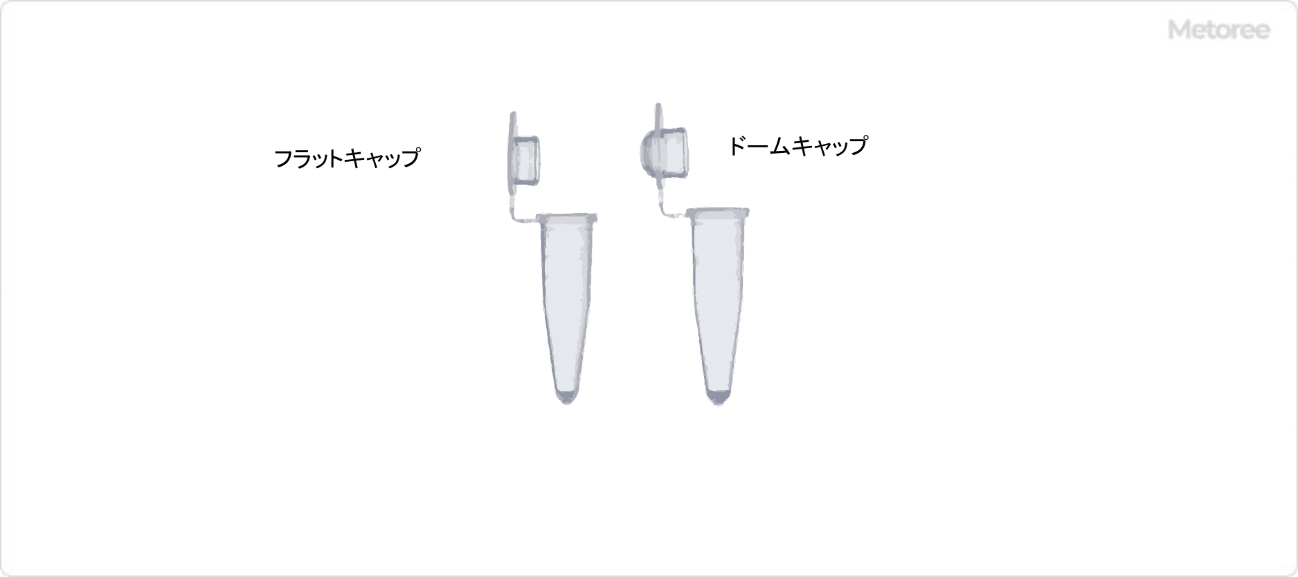 PCR 管图像