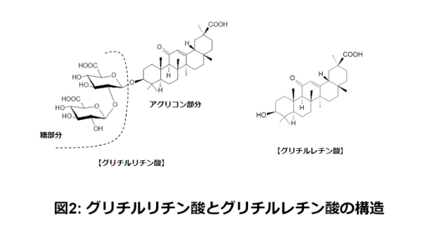 グリチルリチン酸とグリチルレチン酸の構造