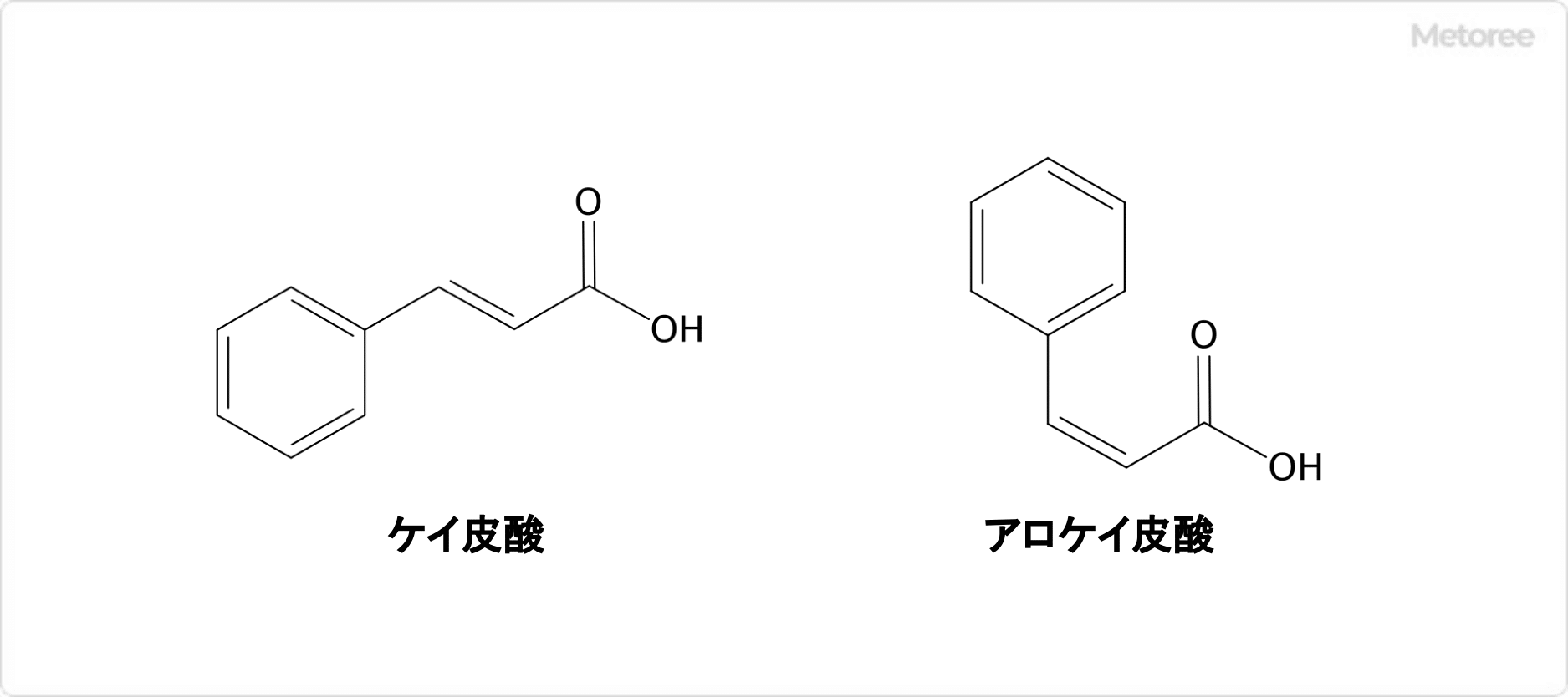 ケイ皮酸とアロケイ皮酸
