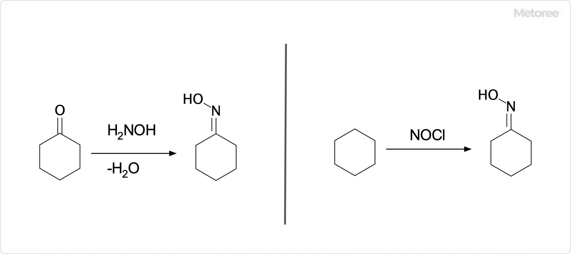 シクロヘキサノンオキシムの合成