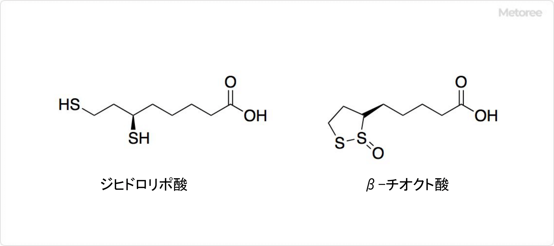 チオクト酸の関連化合物