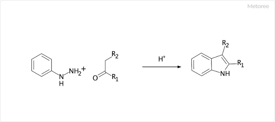 フェニルヒドラジンの化学反応の例 (フィッシャーのインドール合成)
