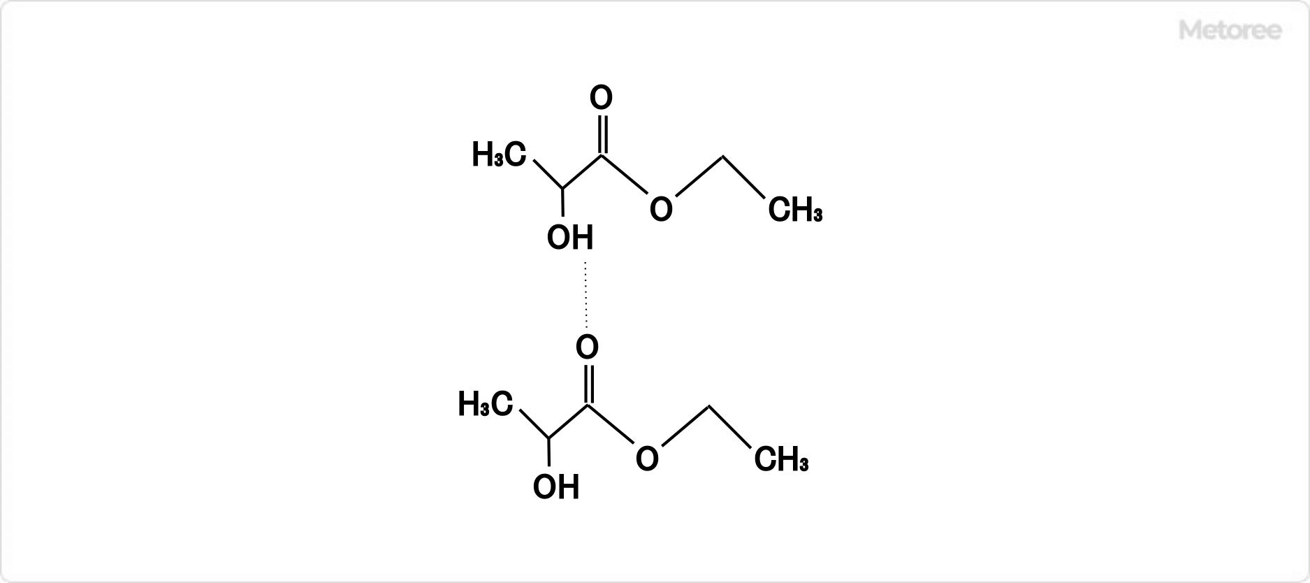 乳酸エチルの水素結合