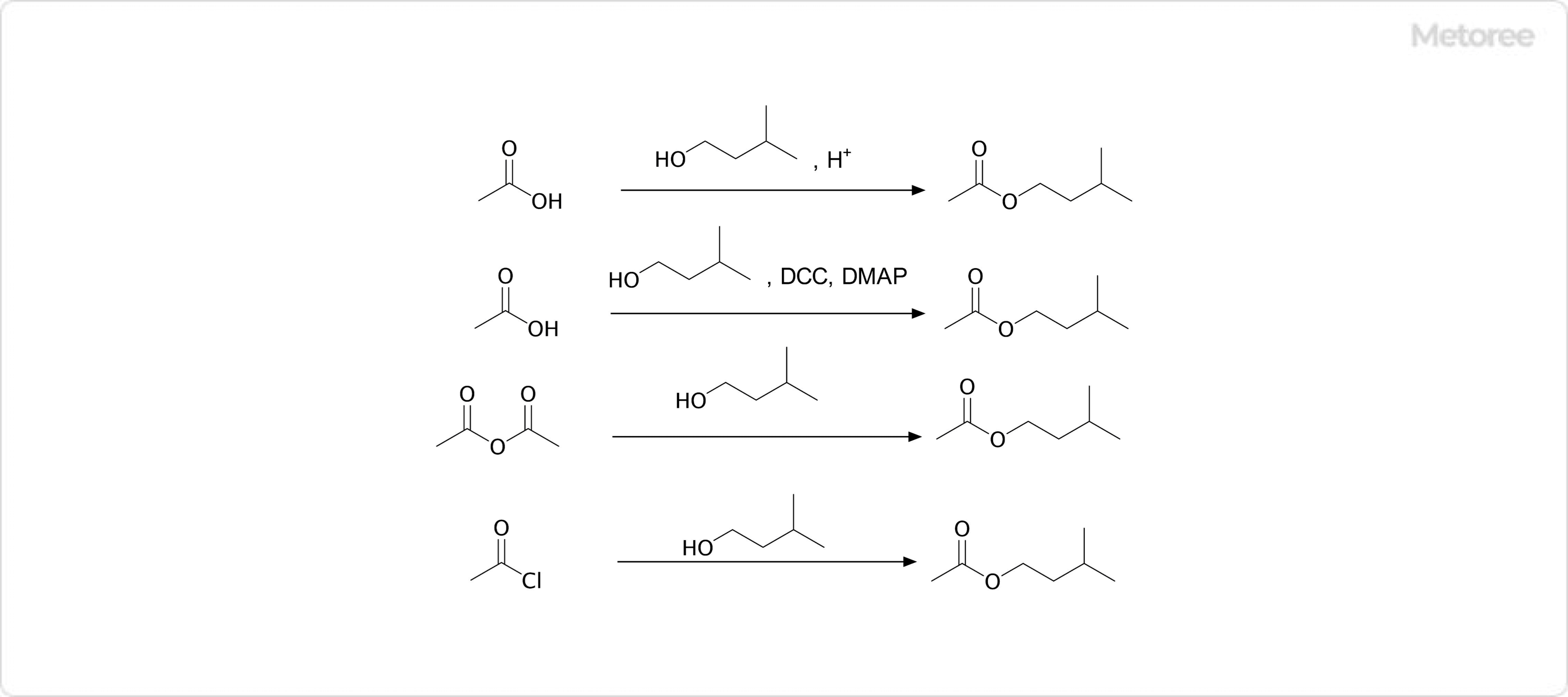 酢酸イソアミルの合成