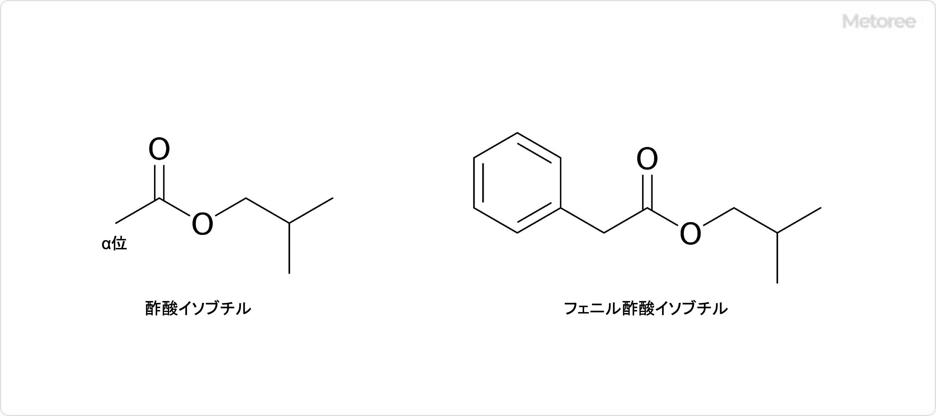 酢酸イソブチルとフェニル酢酸イソブチルの構造