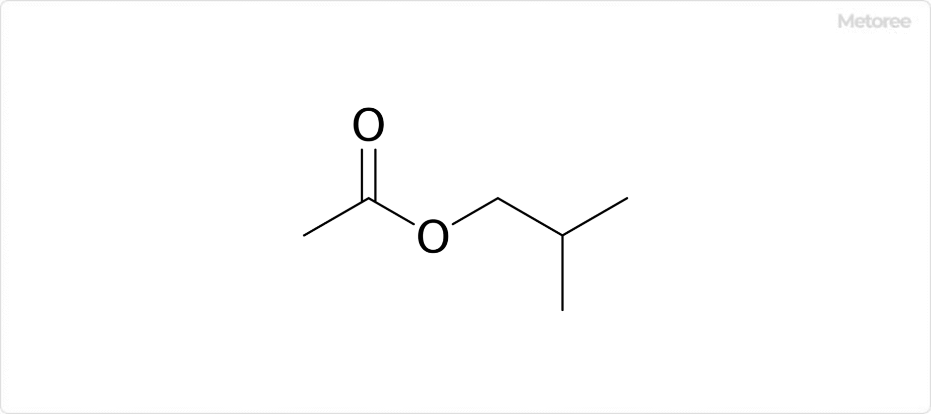 酢酸イソブチルの構造