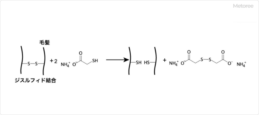 パーマ剤におけるチオグリコール酸アンモニウムの作用原理