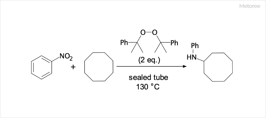 ニトロベンゼンと過酸化物を用いたシクロオクタンのアミノ化の例