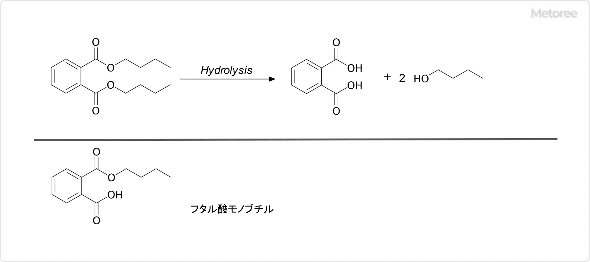 フタル酸ジブチルの加水分解 (上) とフタル酸モノブチルの構造 (下)