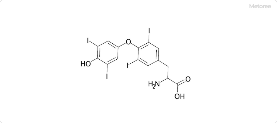 甲状腺ホルモン「チロキシン」の構造