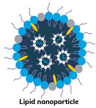 脂質ナノ粒子(ＬＮＰ)とは
