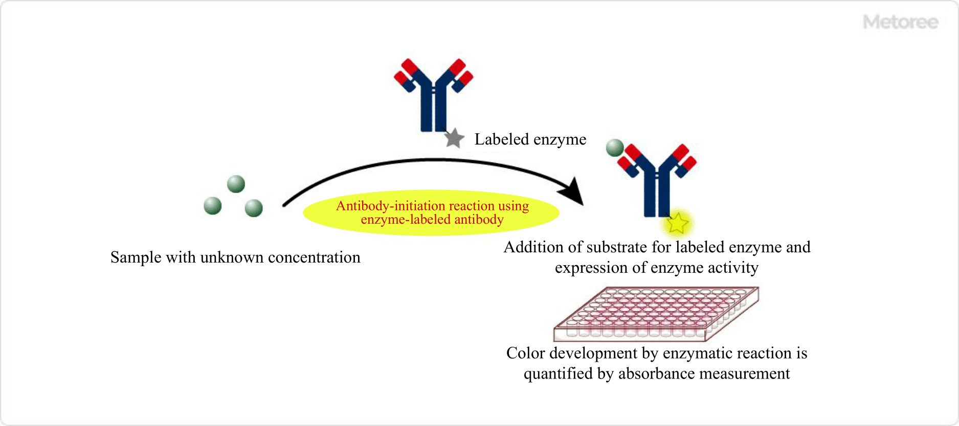 Figure 1. Overview of ELIS