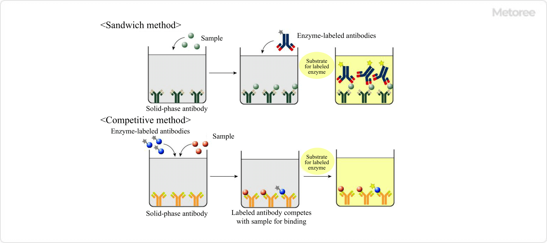 Figure 3. Sandwich and competitive methods