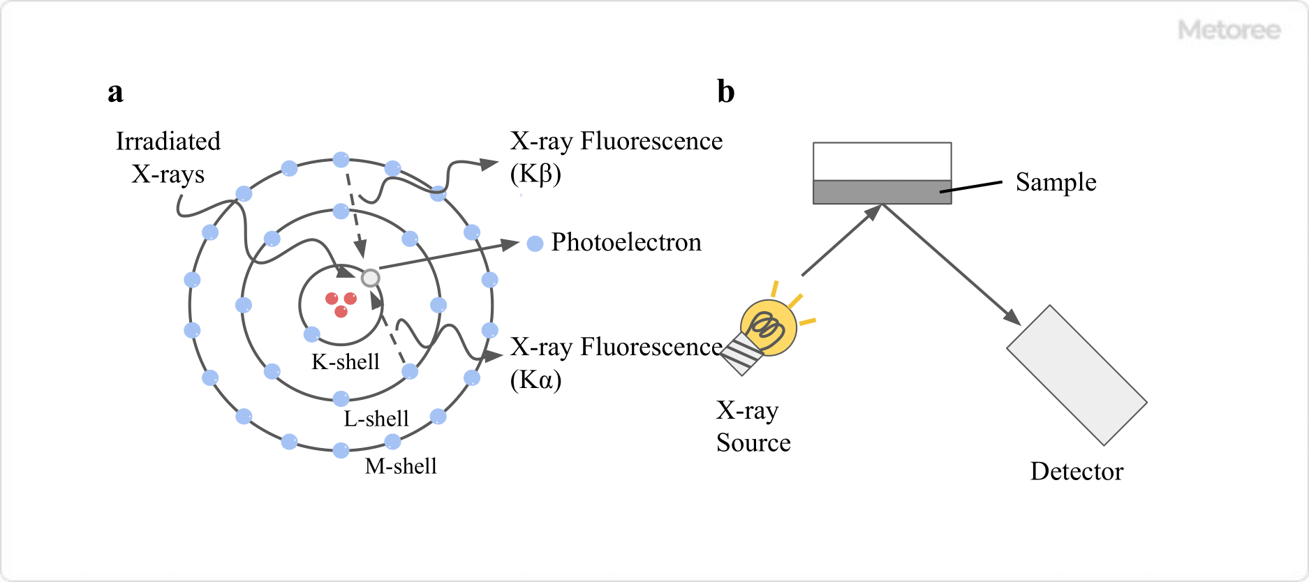 Figure 1. (a) Generation of X-ray fluorescence (b) Structure of the X-ray analyser