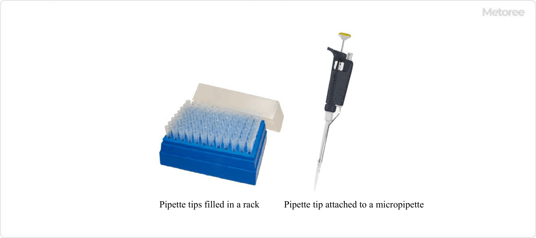 Figure 1. Image of pipette tip