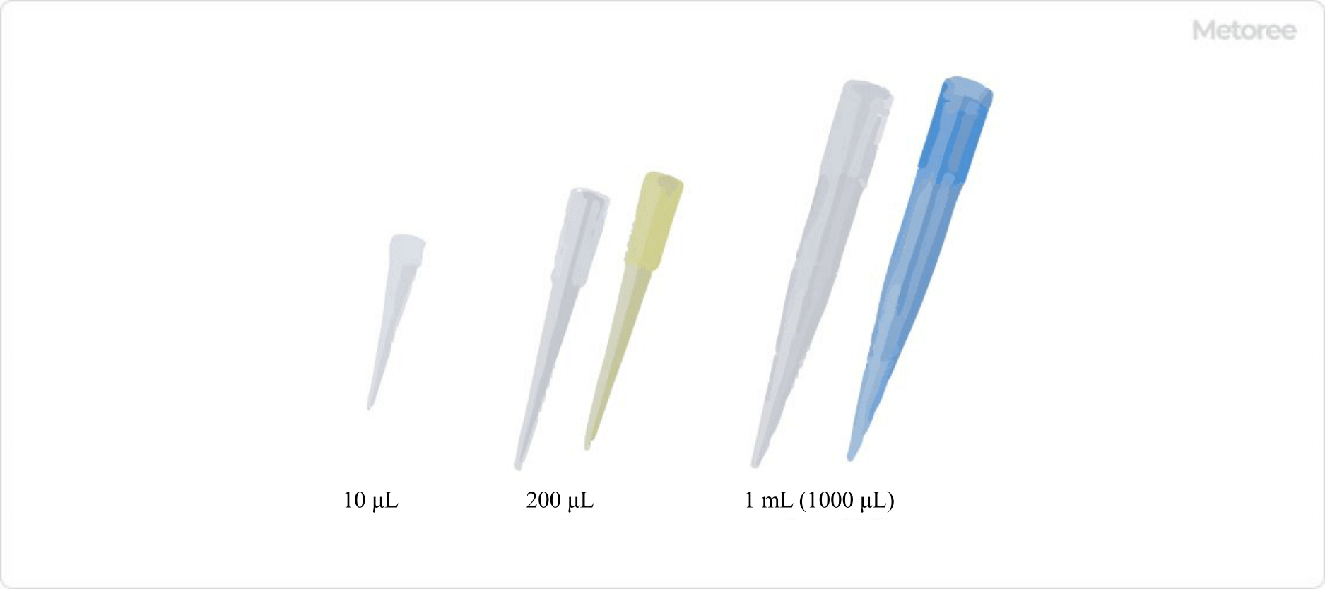 Figure 3. Various pipette tips