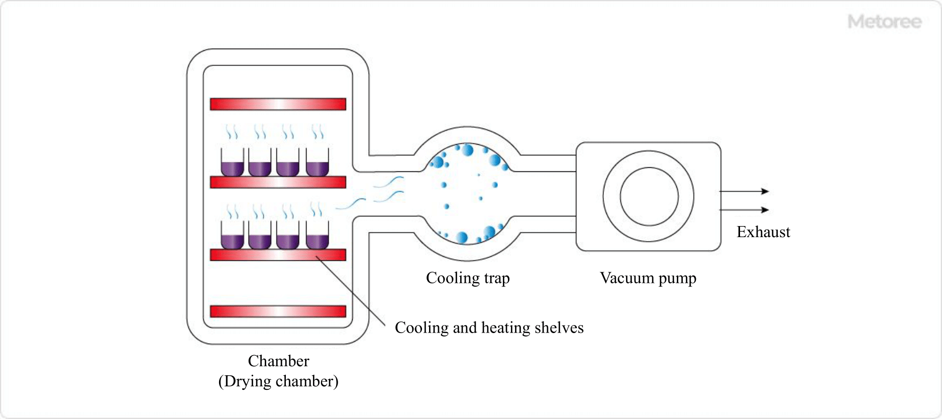 Figure 2. Schematic diagram of a freeze dryer