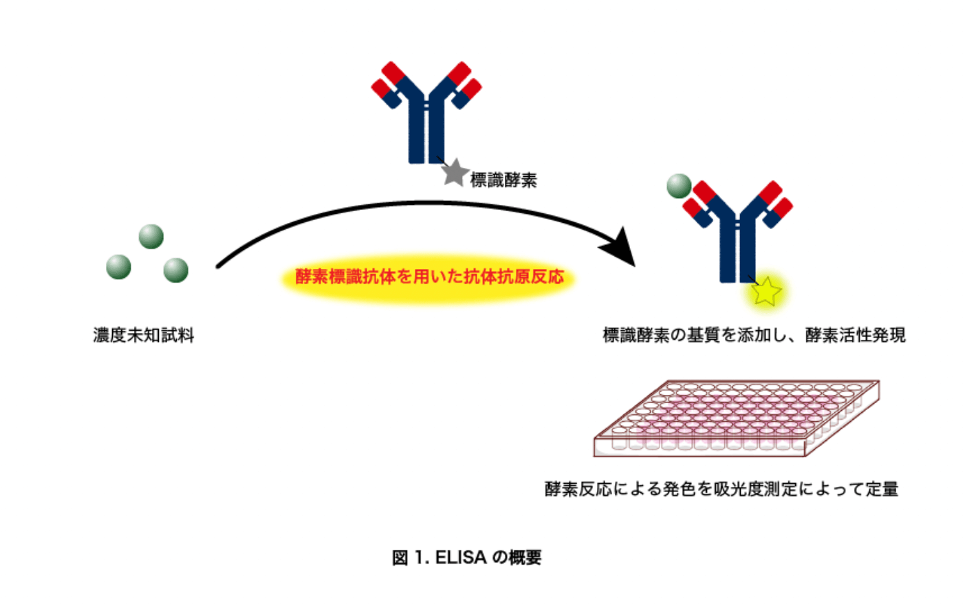 4 ELISA Kit Manufacturers in 2023 Metoree