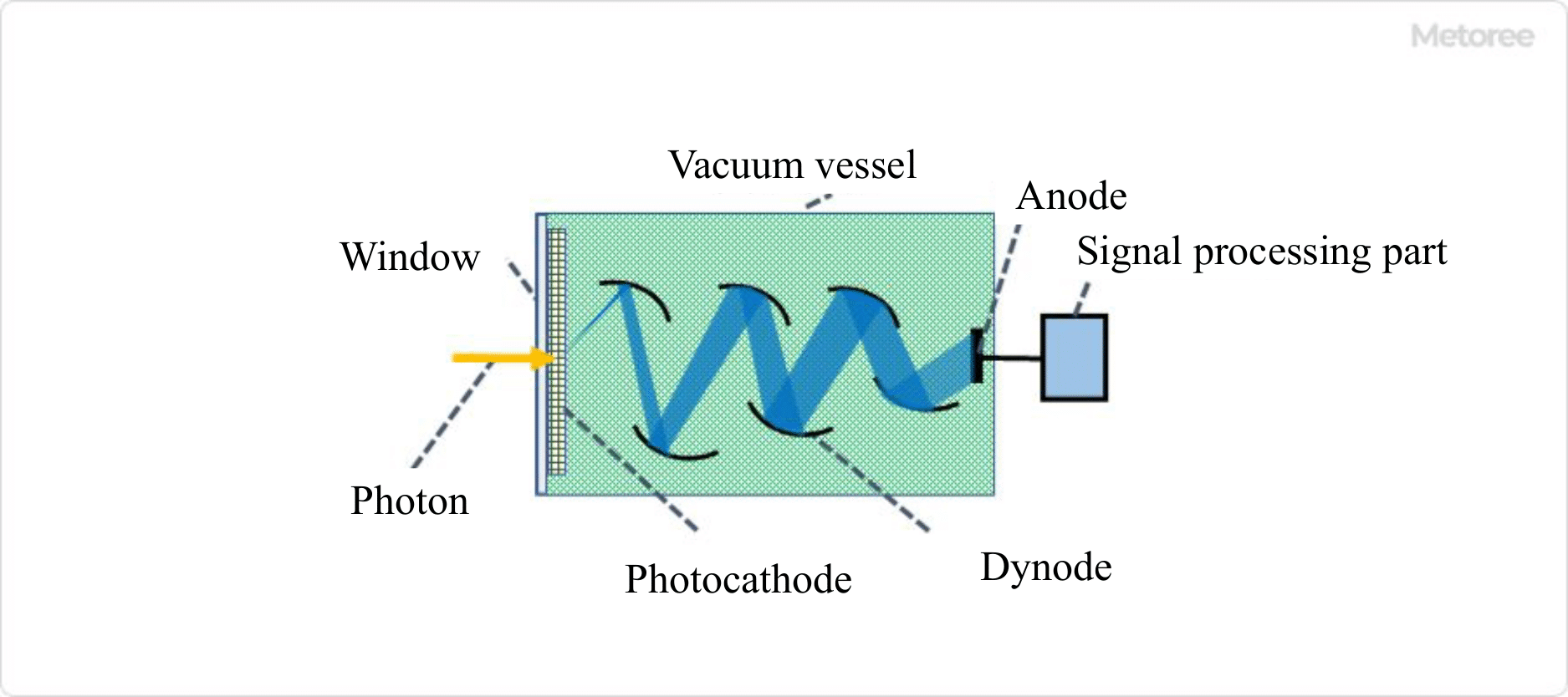 Figure 1. Basic structure of photomultiplier tubes