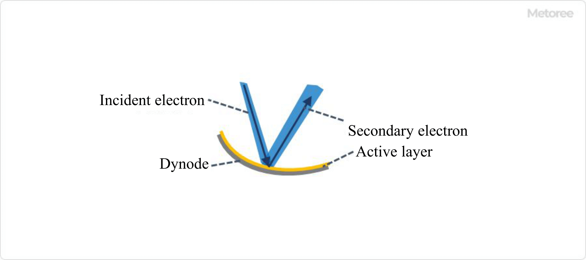 Figure 3. Structure and function of dynode (image)