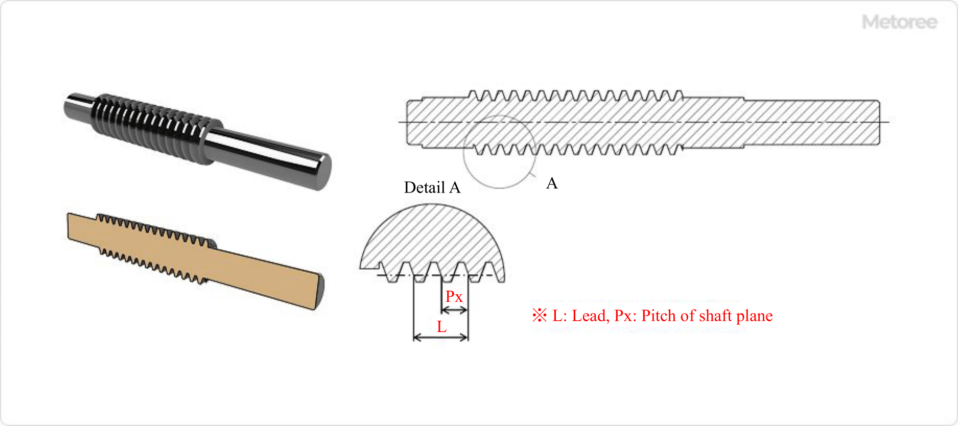 Figure 5. Worm dimensions