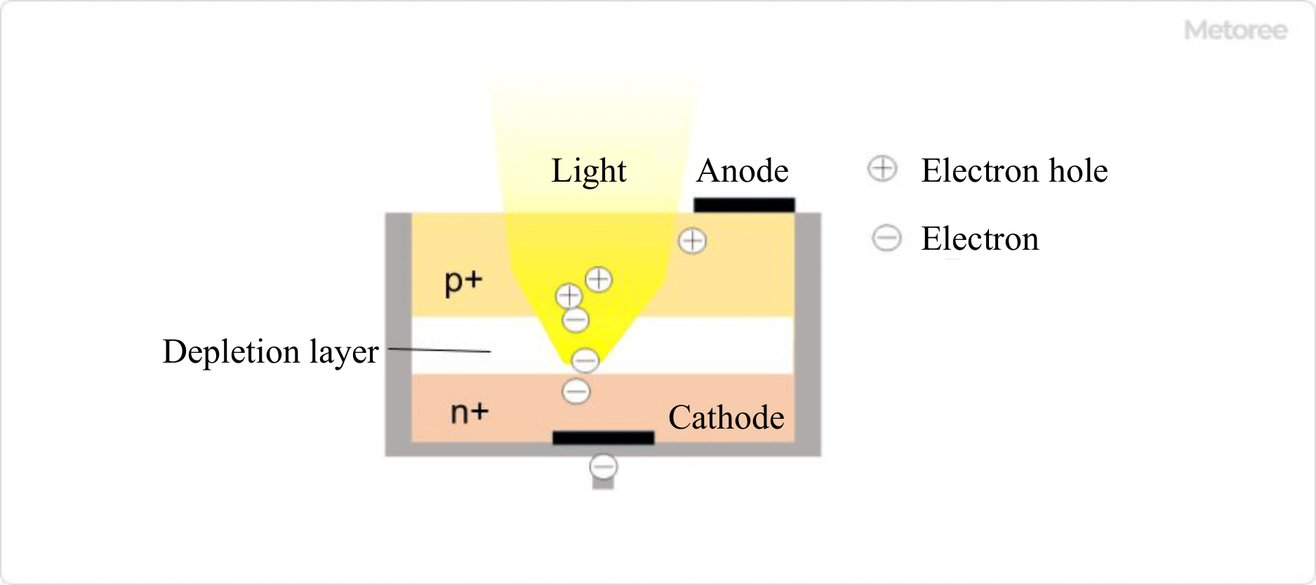 Figure 3. Conceptual diagram of photodiode structure and operation