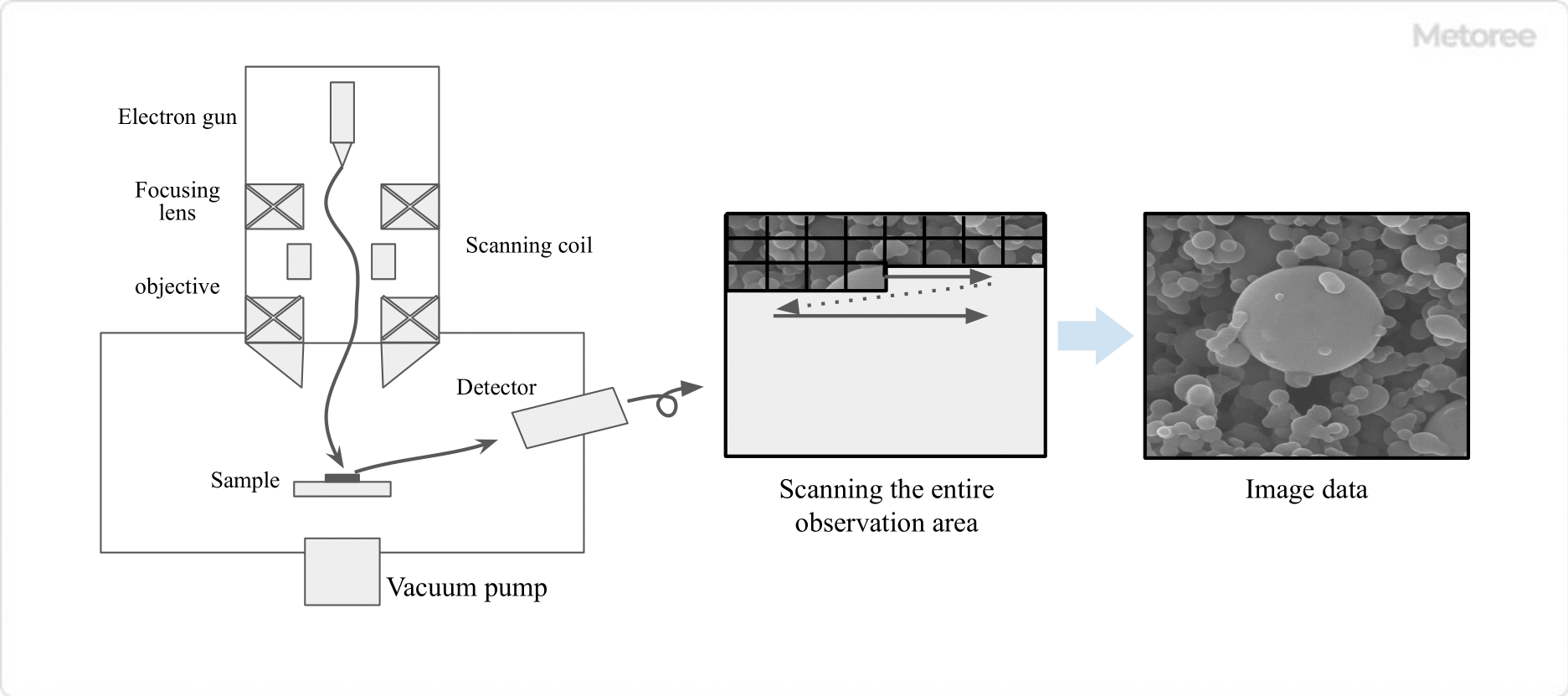 Scanning-Electron-Microscopes-SEM_走査型電子顕微鏡-2