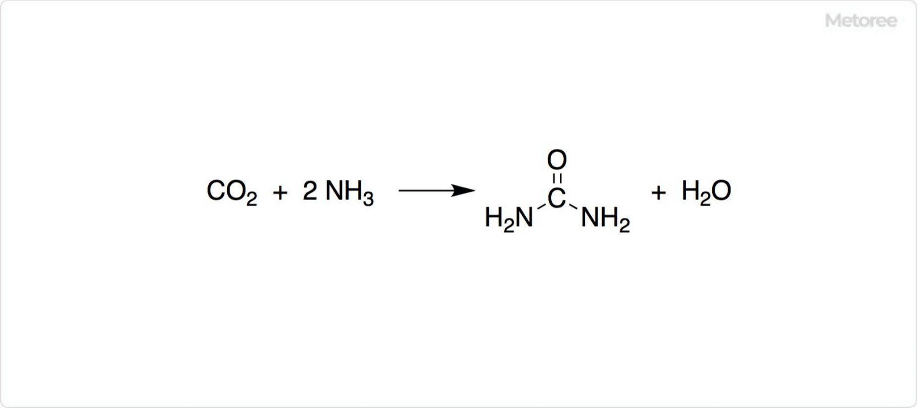 Industrial Urea Synthesis