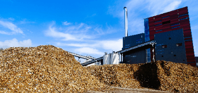 Biomass Power Generators