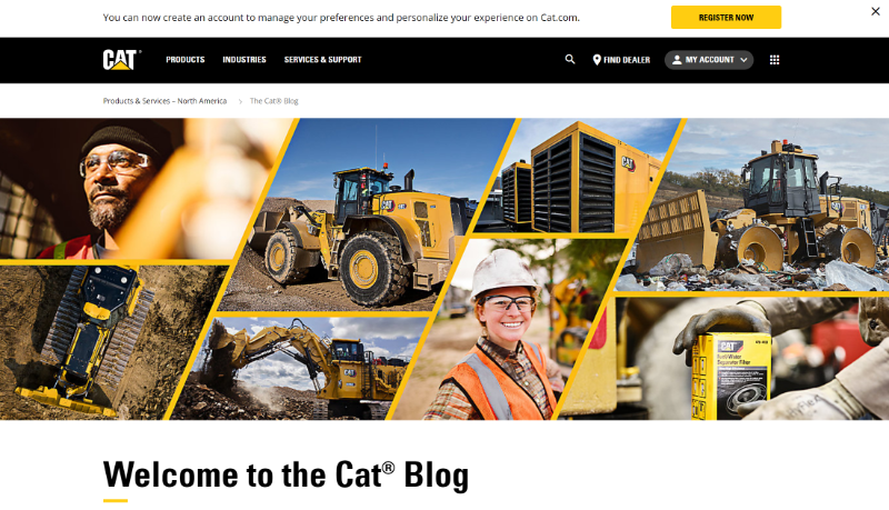 The Cat Blog