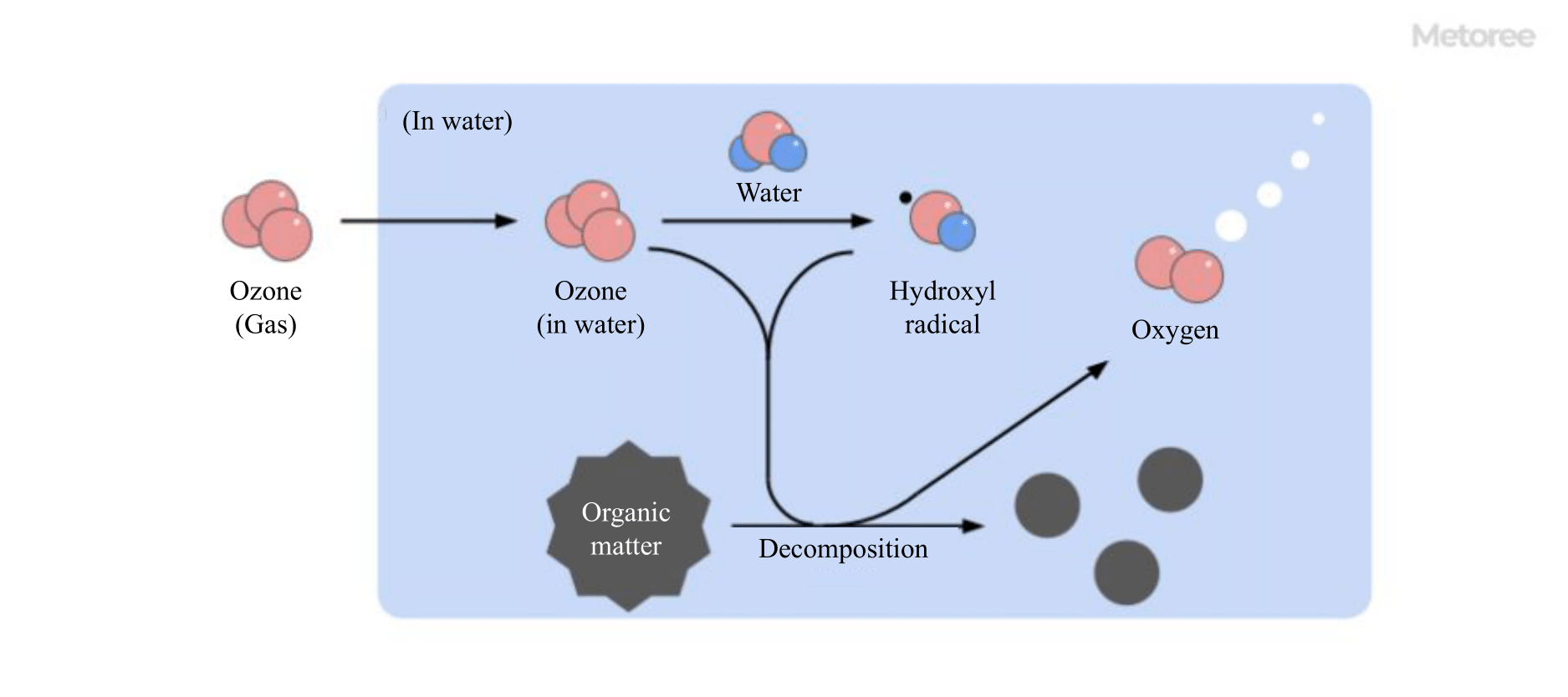 Figure 3. Mechanism of action of ozone