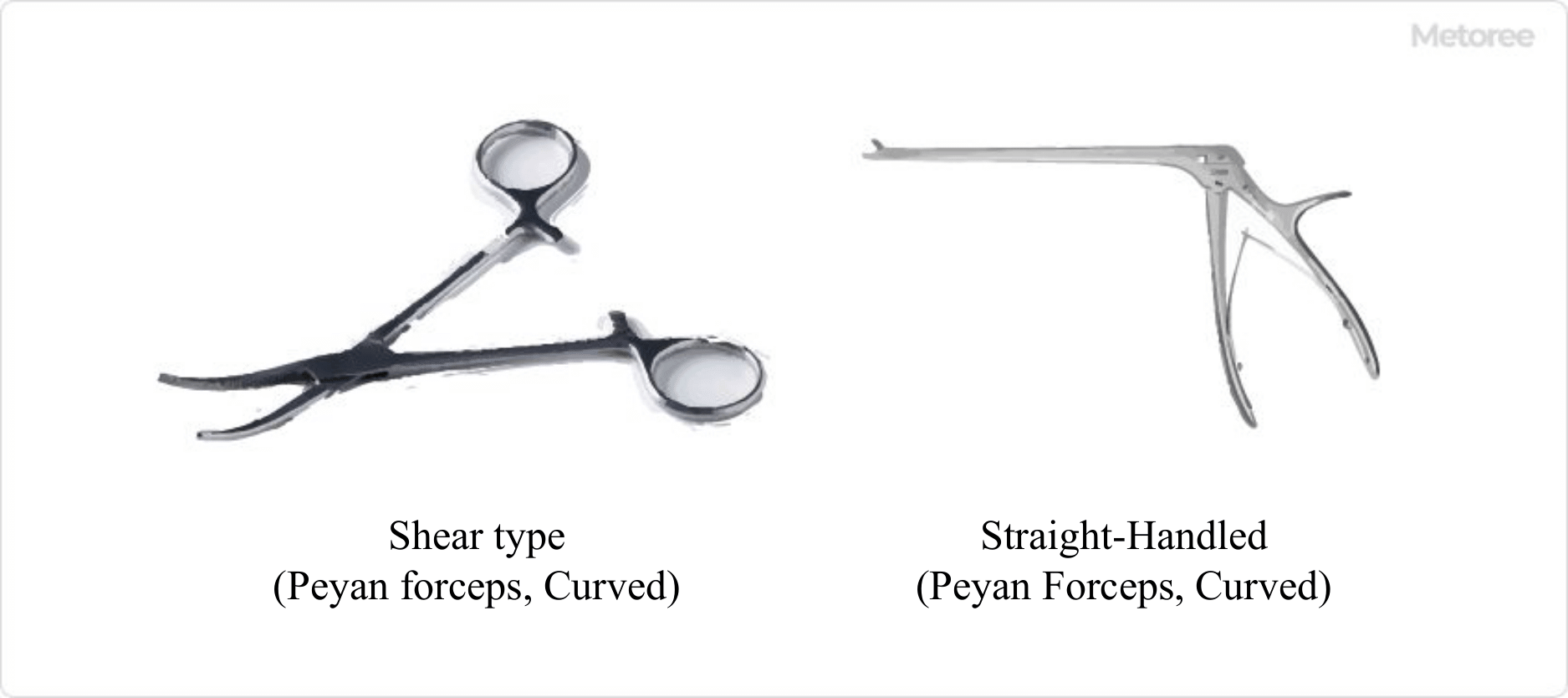 Figure 1. Image of a typical forceps