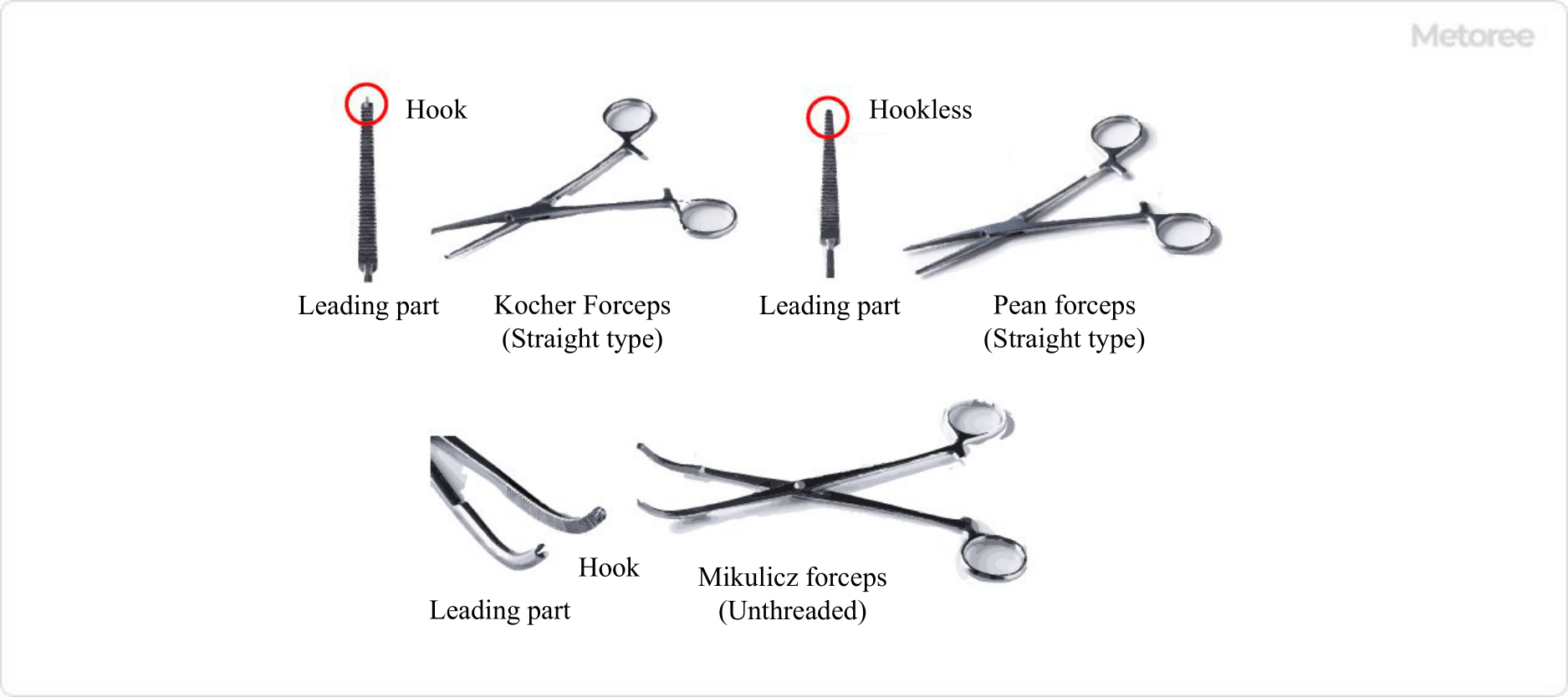 Figure 2. Main forceps and tips