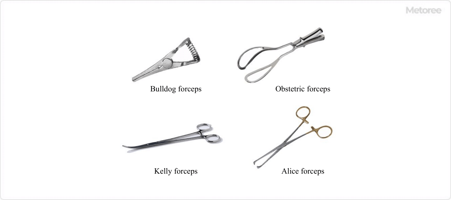 24 Forceps Manufacturers in 2023 Metoree