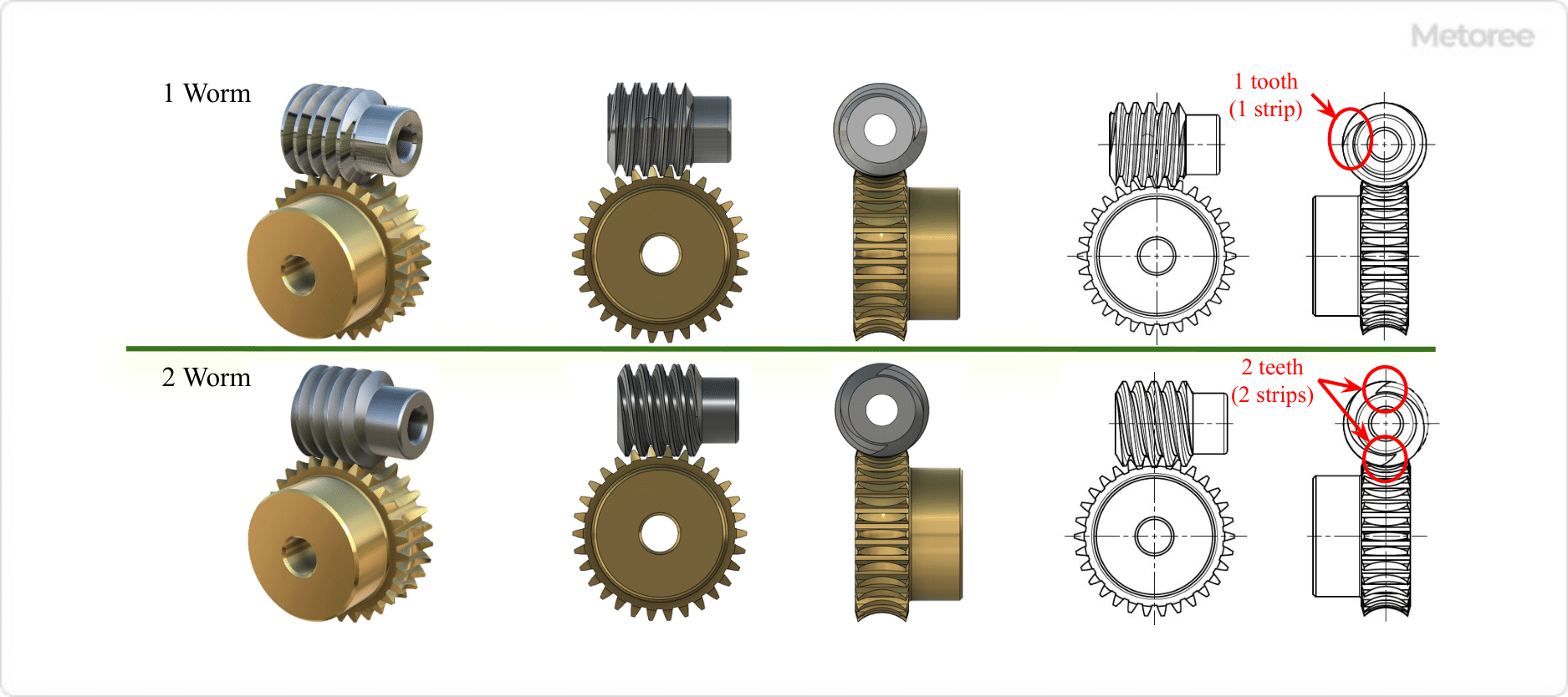 Figure 5. 1- and 2-strip worm gear