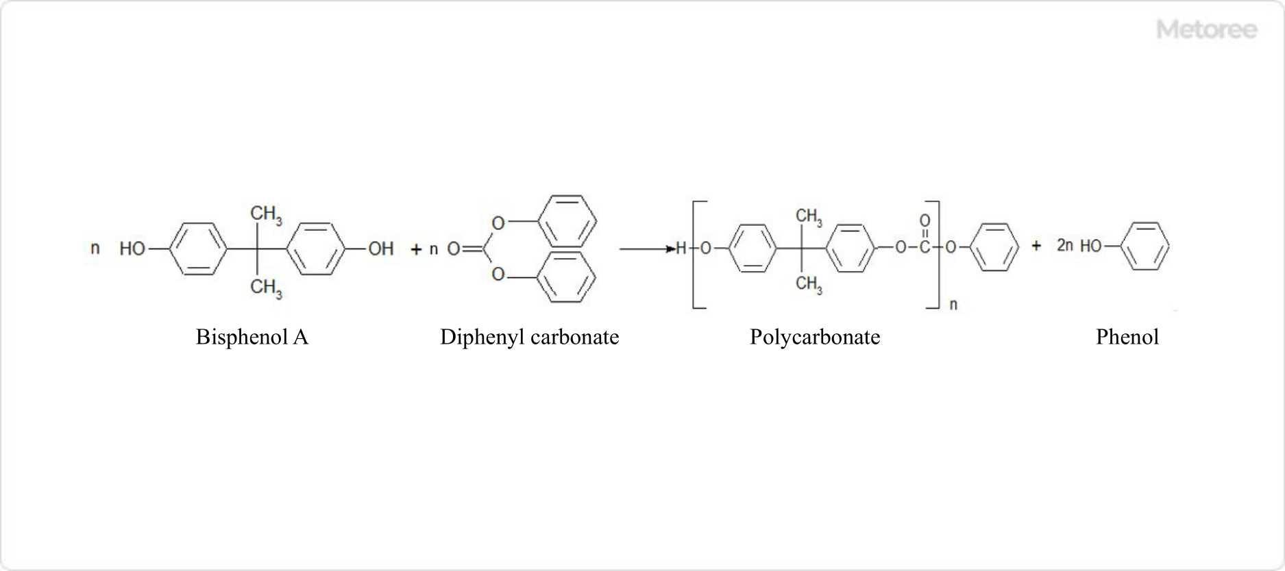 Figure 3. Ester Exchange Method Reaction Formula