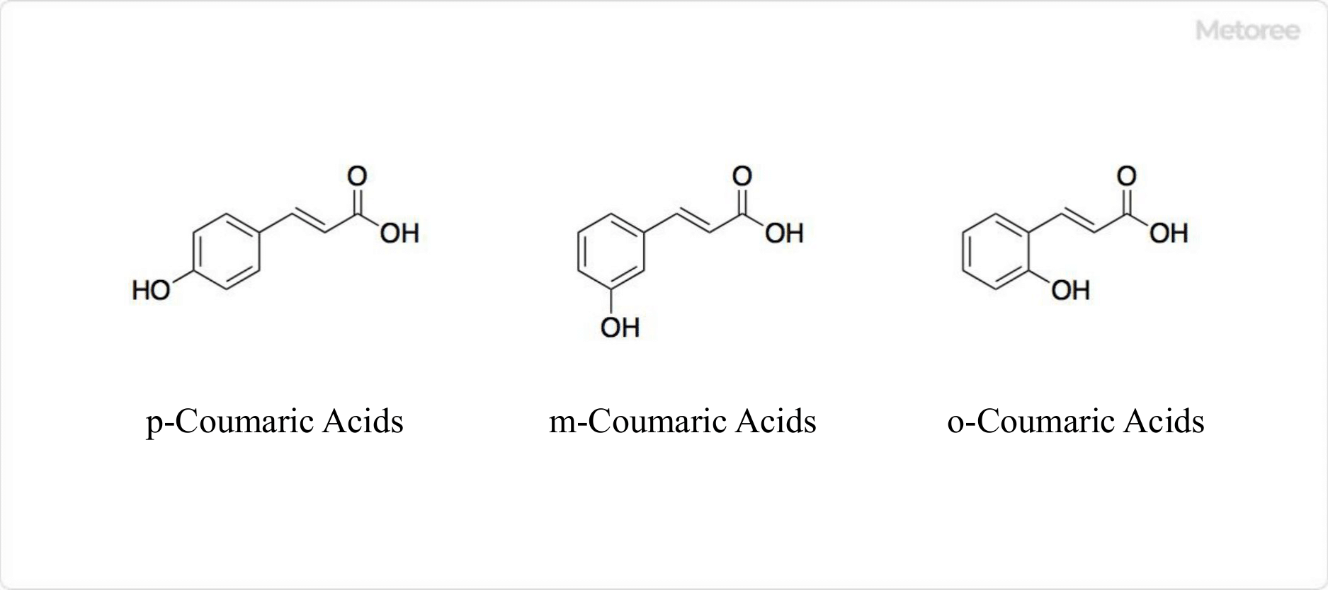 Coumaric-Acids_クマル酸-2