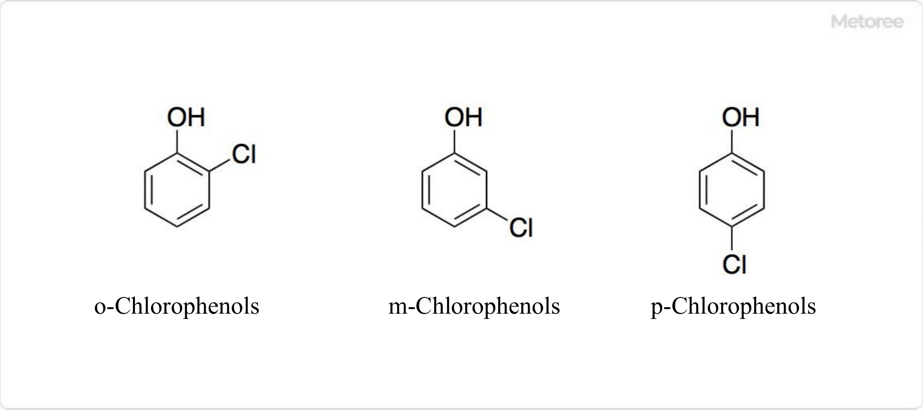 Chlorophenols_クロロフェノール-1
