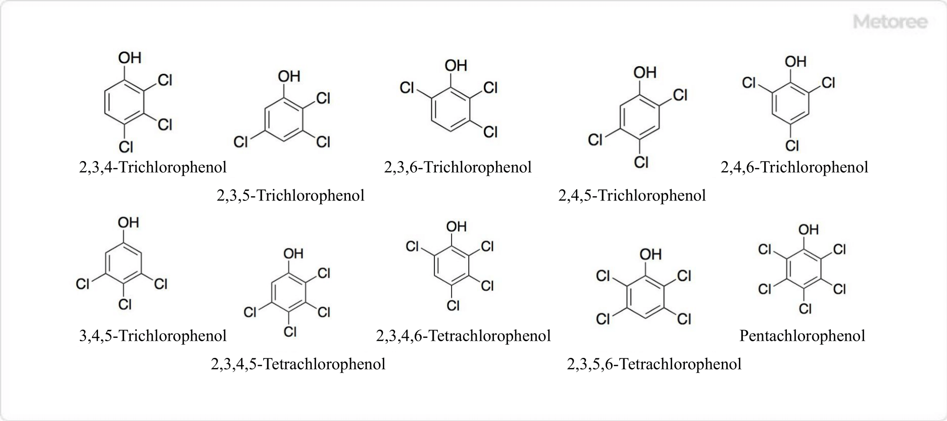 Chlorophenols_クロロフェノール-3