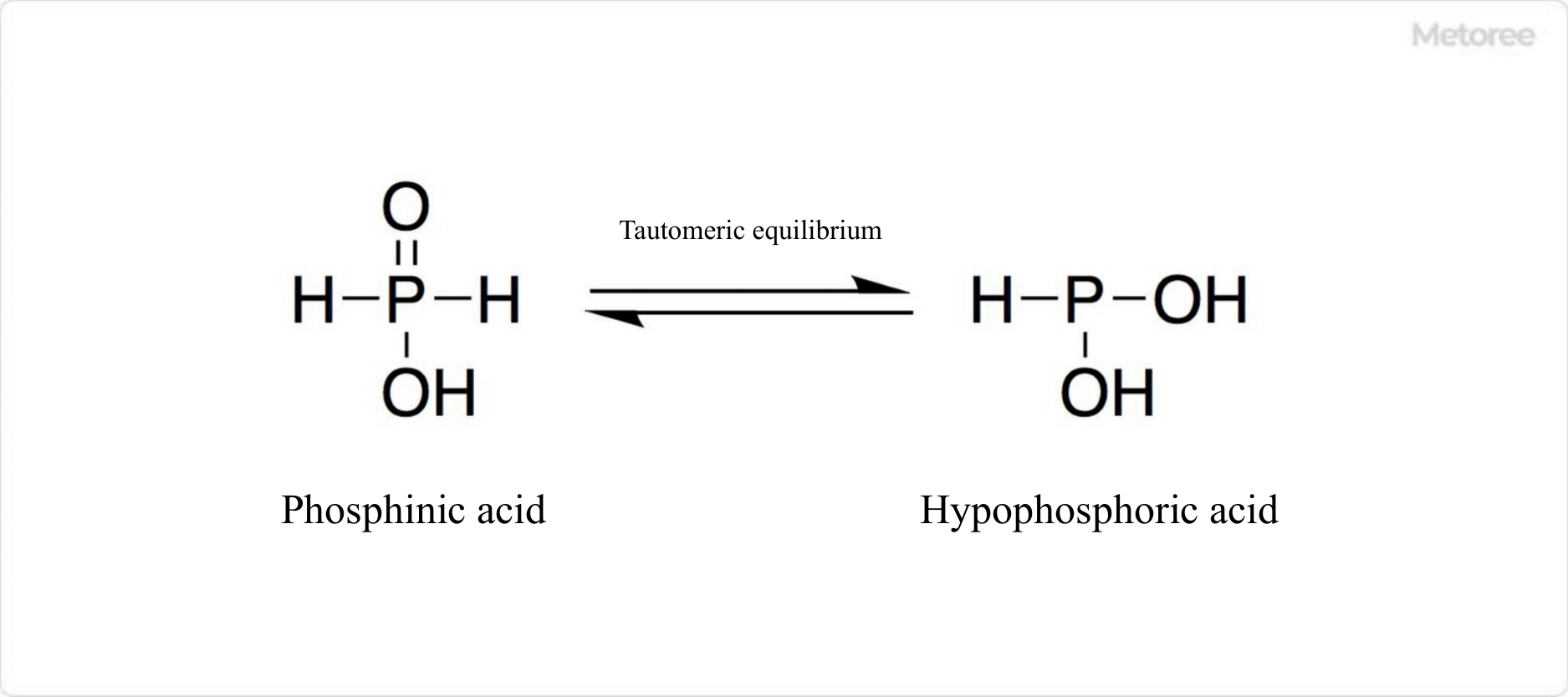 7040_Phosphinic-Acids_ホスフィン酸-1.png