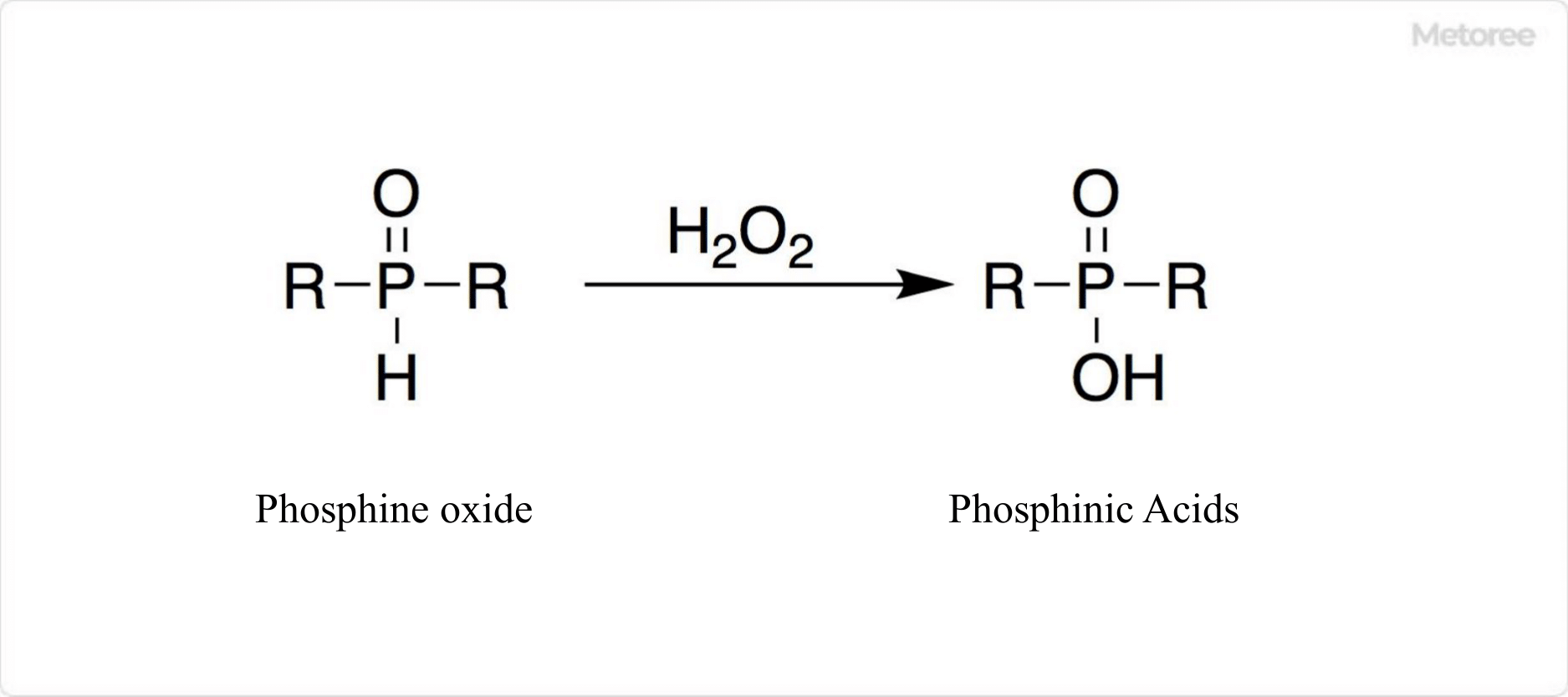 7040_Phosphinic-Acids_ホスフィン酸-2.png