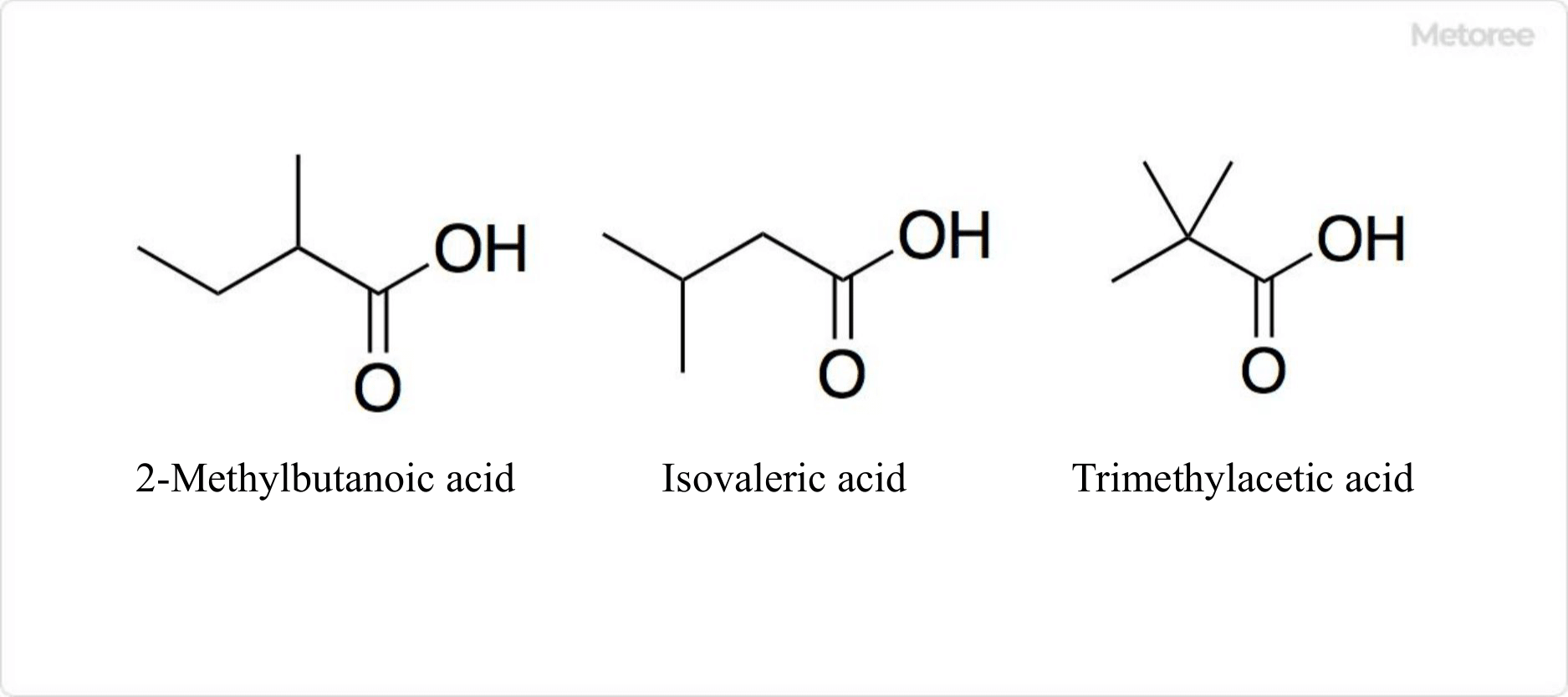 Figure 3. Structural isomers of valeric acid