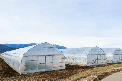 Invernaderos Agrícolas