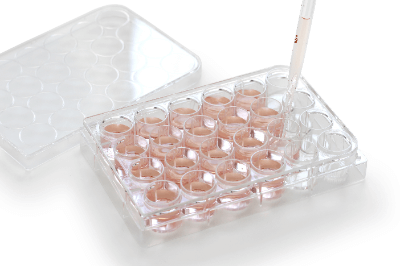 Cell Culture Vessels
